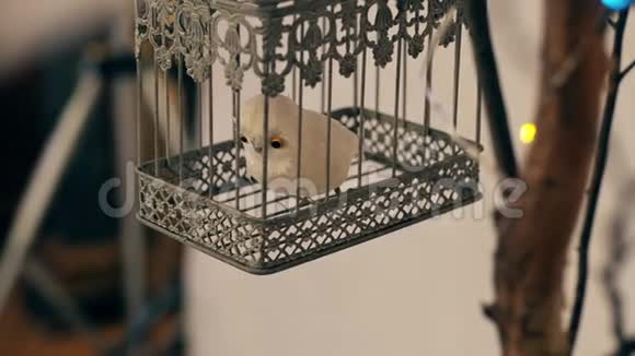 一只玩具白色极地猫头鹰坐在一个老式的笼子里印支视频的预览图