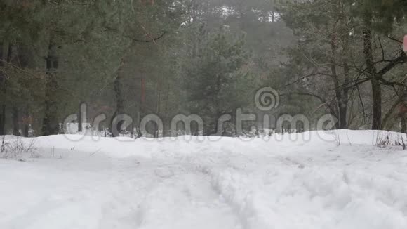 小径跑白种人老女人在雪地上奔跑在森林里后退静态镜头慢动作视频的预览图