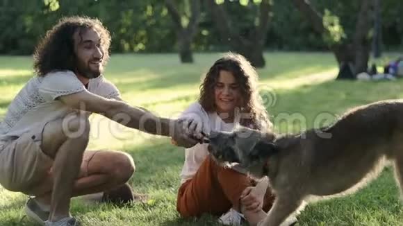 夏天一对年轻活泼的夫妇在公园里玩他们的狗视频的预览图
