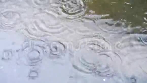 很多雨滴在水坑里形成圆圈视频的预览图