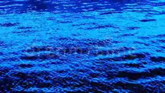被霓虹灯照亮的水蓝色的水夜晚视频的预览图