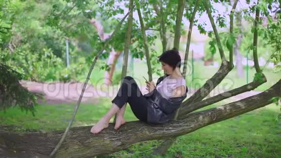 坐在树上的女孩用电话视频的预览图