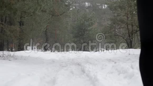 小径跑年轻迷人的白种人女孩在雪地上奔跑在森林里后退静态镜头慢动作视频的预览图