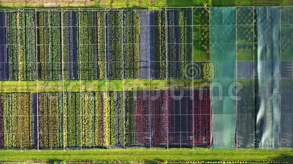 鸟瞰植物苗圃的空中镜头视频的预览图