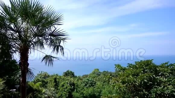 普吉泰国观海海浪拍打在热带雨林的岸边视频的预览图