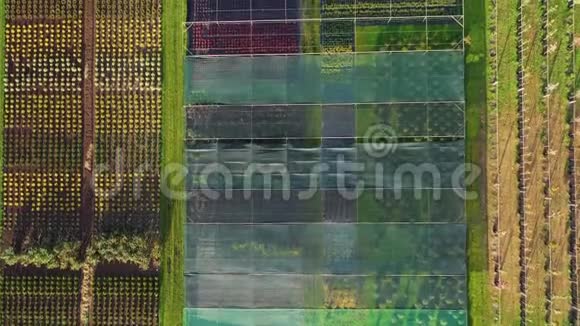 4k鸟瞰一个植物苗圃的空中镜头视频的预览图