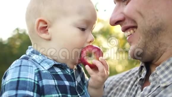 一个孩子在父亲怀里吃苹果的肖像父亲节健康饮食视频的预览图