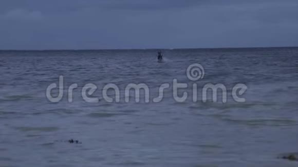 一只狗在海滩上奔跑视频的预览图