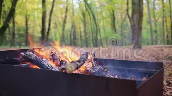 土耳其烧烤烤架与火的自然户外近距离背景森林视频的预览图