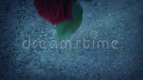 人在黄昏的坟墓上放玫瑰视频的预览图