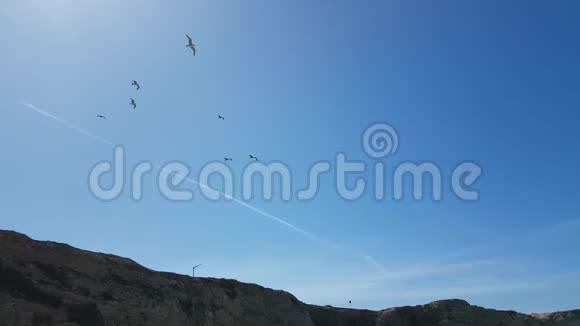 一群鸟迎着一阵大风飞过去一直飞在原地视频的预览图