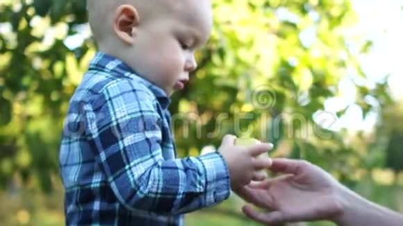 秋收期间穿着格子衬衫的快乐秃头幼儿在苹果园吃了一个绿色的苹果健康饮食视频的预览图