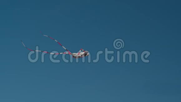 长条纹天线的风筝视频的预览图