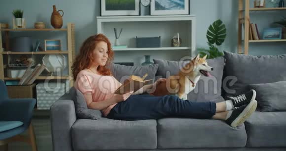 在沙发上笑着年轻女士在家看书抚摸可爱的宠物狗视频的预览图