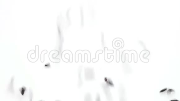 白色背景上的茉莉花黑米从上面掉下来装满了框架视频的预览图