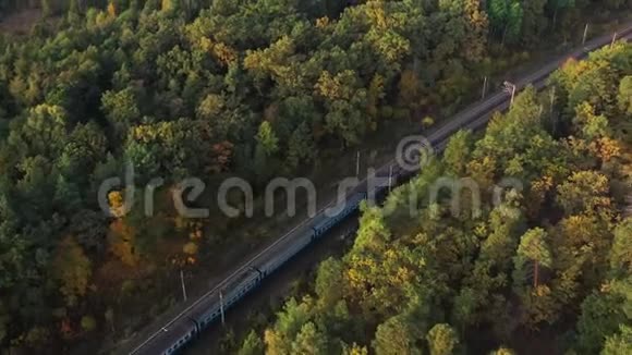 郊区火车穿过秋天的森林去日落视频的预览图