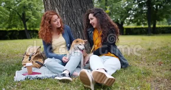 慢动作女孩坐在公园的草坪上与可爱的狗聊天玩得开心视频的预览图
