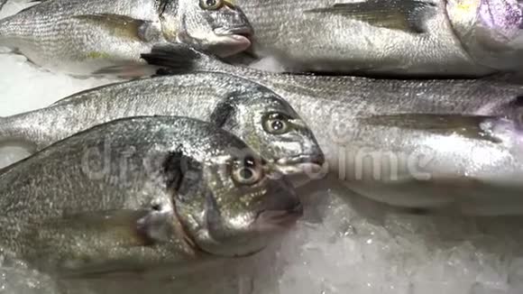 新鲜的多拉达鱼在冰上鱼市冰鲜海鲜视频的预览图