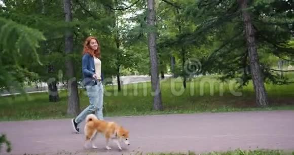 夏日美女在公园里慢悠悠地遛狗视频的预览图