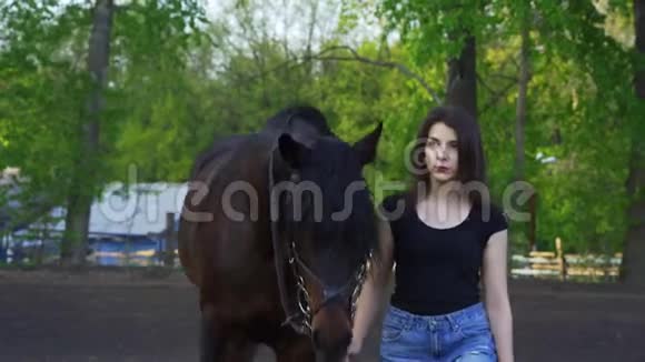 一个穿着黑色T恤和牛仔短裤的年轻苗条的黑发女人牵着一匹带着皮带的深棕色马视频的预览图