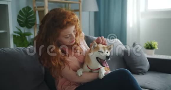 可爱的女人在公寓的沙发上和可爱的狗说话抚摸动物视频的预览图