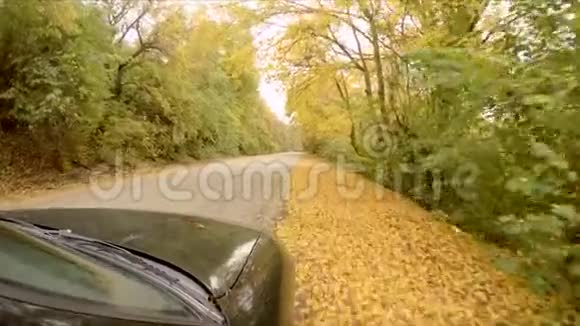 汽车穿过秋天的森林视频的预览图