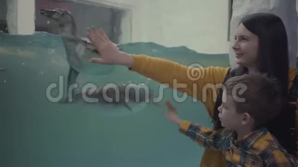 妈妈和儿子透过海洋馆的玻璃看游泳企鹅视频的预览图