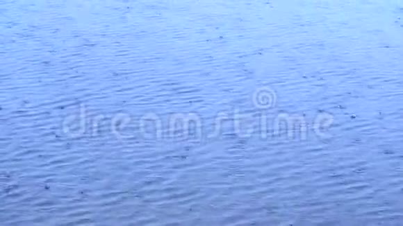 雨水落在池塘湖泊或河流的水面上形成均匀的背景视频的预览图