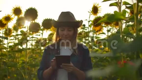 生物学家女孩正在田野上观察夏日的向日葵视频的预览图