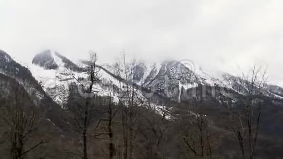 秃顶的树顶和高高的雪山覆盖着厚厚的云层库存录像冬季景观高视频的预览图
