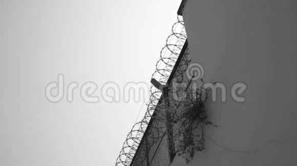 监狱栅栏上长着一棵小树黑白抑郁视频视频的预览图
