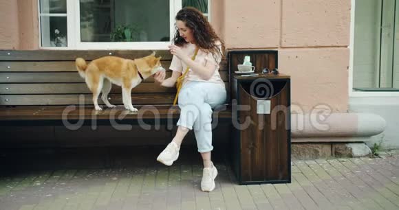 女人在咖啡馆里慢腾腾地喂着石坝狗和玩宠物视频的预览图