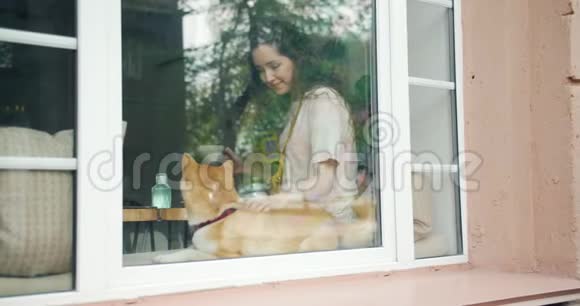 可爱的小姑娘爱抚坐在窗台上的小狗视频的预览图