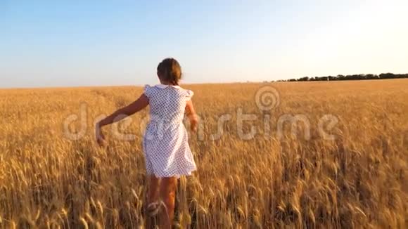 年轻漂亮的女孩穿着白色的裙子在一片成熟的麦子里跳舞快乐的孩子在田里玩耍视频的预览图