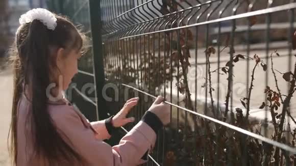 篱笆网附近的小女孩视频的预览图