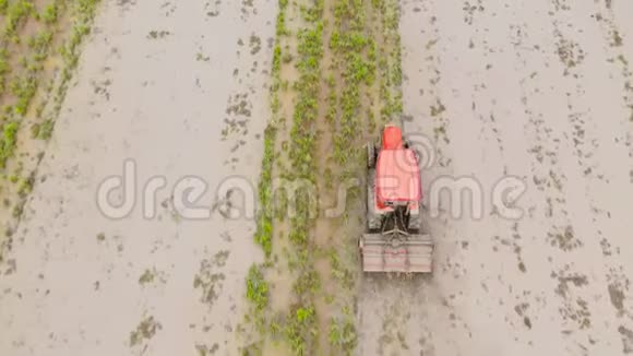 农民在拖拉机准备农田稻田里的拖拉机视频的预览图
