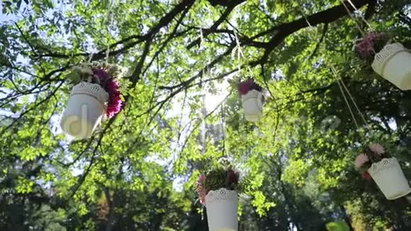 鲜花的婚礼装饰太阳背景上有花的花瓶视频的预览图