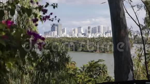 从公园可以看到芽庄的城市景色视频的预览图