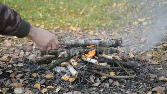 森林里的篝火小特写视频的预览图