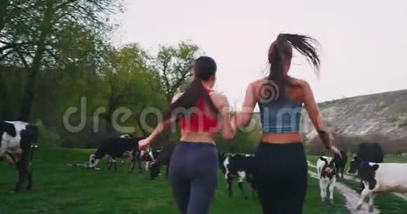 两个朋友在乡间的风景中一起锻炼在一群奶牛旁边跑步视频的预览图