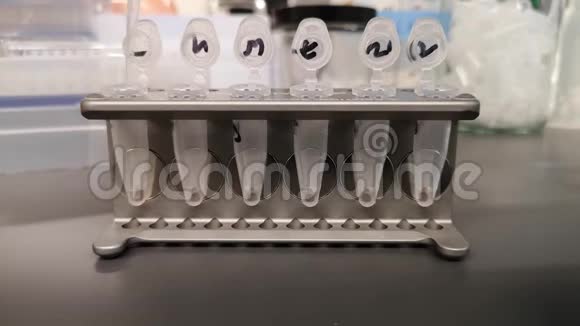 用磁珠纯化DNA磁架上的管子用吸管吸出液体实验室录像技术视频的预览图