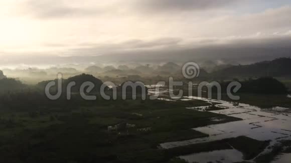 景观带农田和青山鸟瞰清晨的雾视频的预览图
