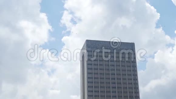 蓝天背景上的高空与飞鸟的顶端行动高层建筑顶部的美丽景色视频的预览图