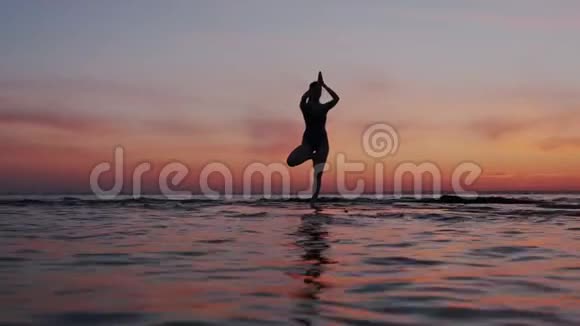 年轻的运动女性独自站着表演瑜伽树的姿势日落冥想体育活动健身房视频的预览图