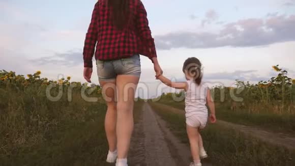 一个带着妈妈的小女孩带着向日葵穿过田野农业孩子和母亲在一片田野上视频的预览图