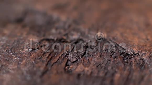 贴合深色天然棕色木质纹理库存录像旧的乡村餐桌有裂缝木材背景视频的预览图