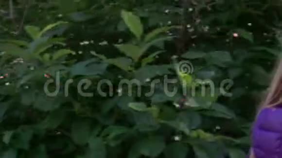 可爱的女孩走在丁香花丛里视频的预览图