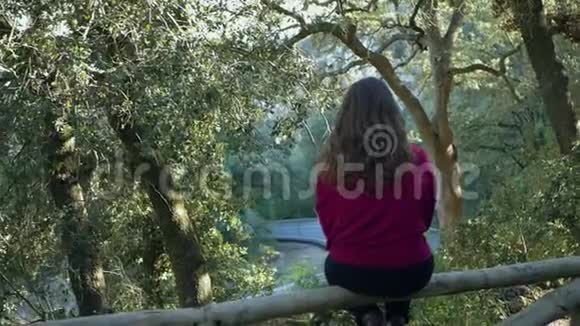 森林俯瞰公路年轻女子坐在栏杆上注意力不集中视频的预览图