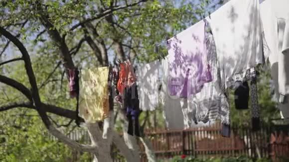 在风中洗衣服视频的预览图