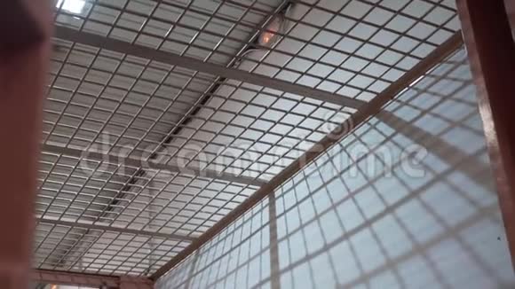 在一个灯泡的背景下监狱走廊里的金属棒视频的预览图